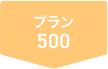 プラン500